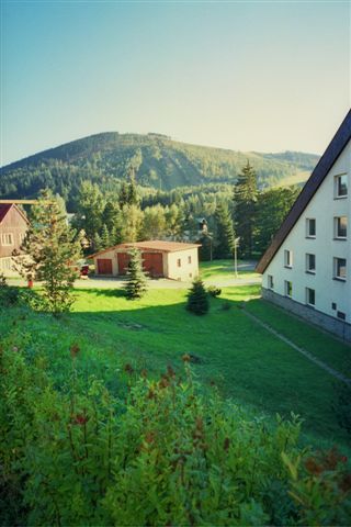 01.JPG