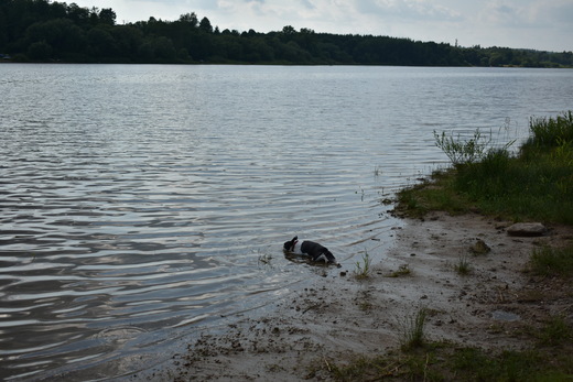 DSC_0265.JPG